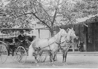 Early Dray Wagon w/horses